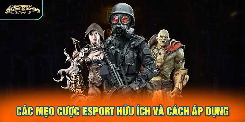Các mẹo cược esport hữu ích và cách áp dụng