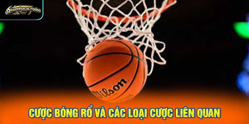 Cược bóng rổ và các loại cược liên quan