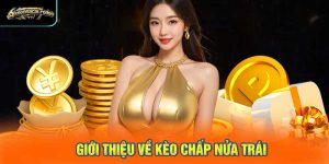Giới thiệu về kèo chấp nửa trái