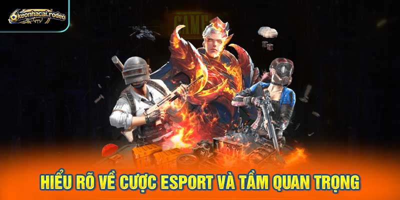 Hiểu rõ về cược esport và tầm quan trọng của mẹo cược